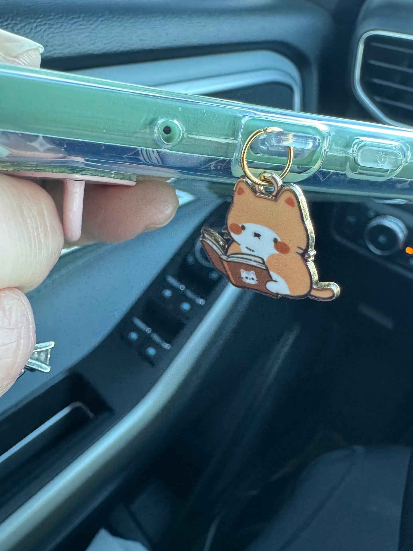 Reading Kitty Dust Plug