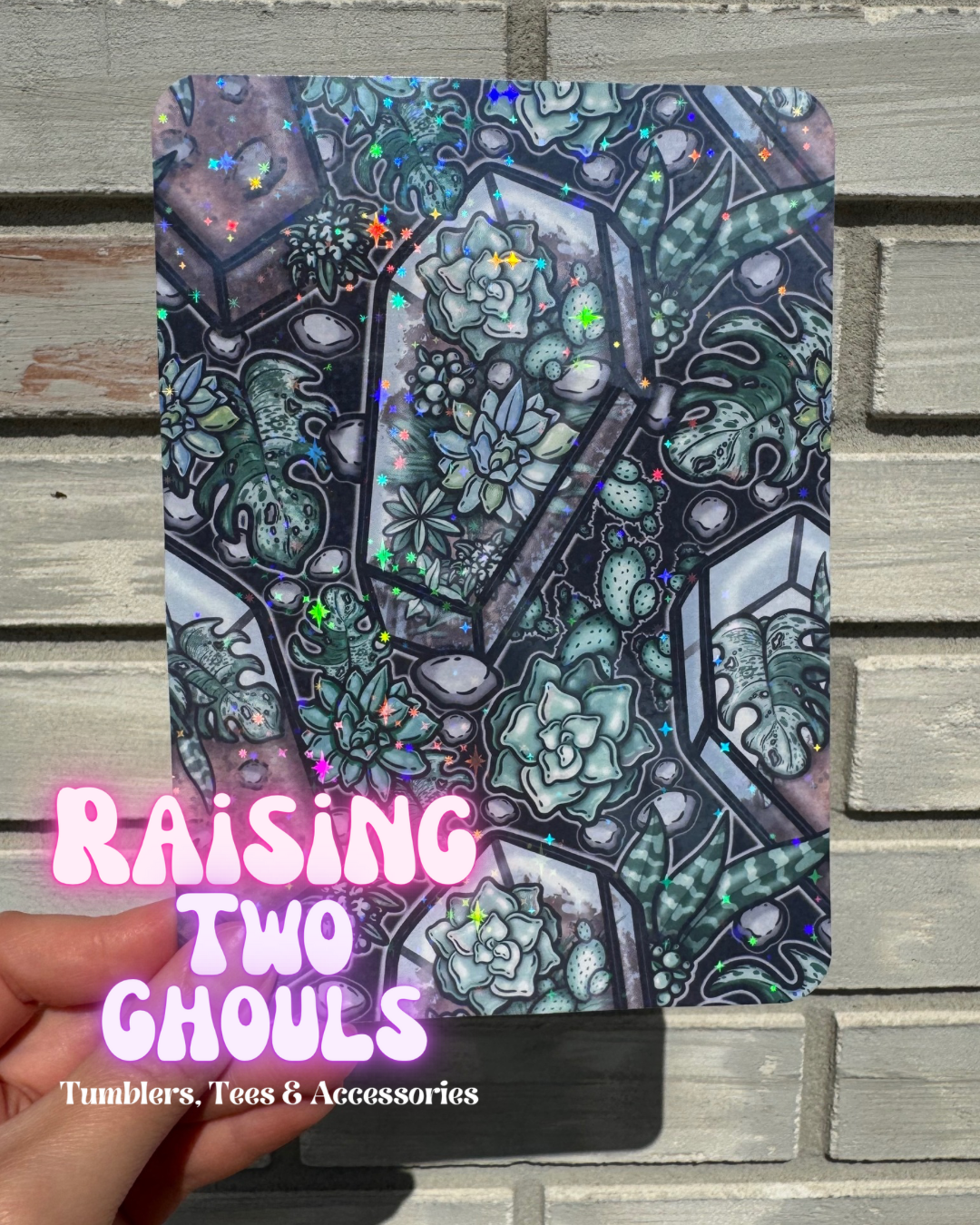 Succulent Coffin Insert